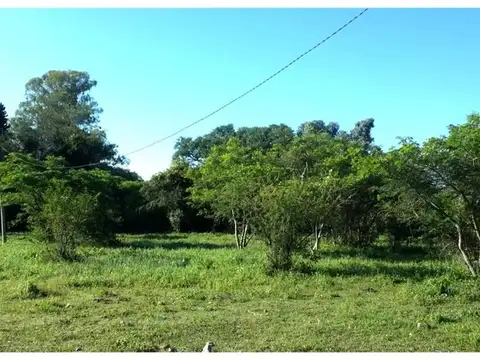 Terreno en Venta de 3969,0 m2