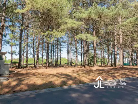 Oportunidad Terreno E1 en zona de Pinos en el barrio Pinares Country Club