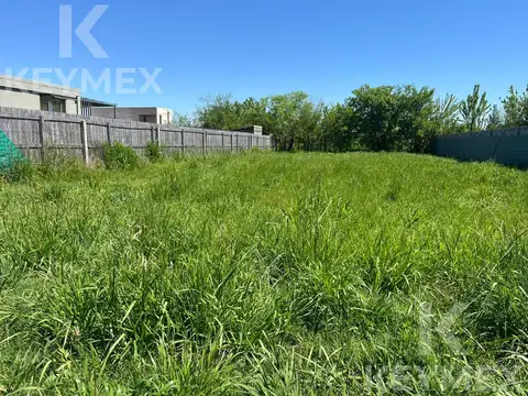 Terreno en Venta 40  mts Fondo