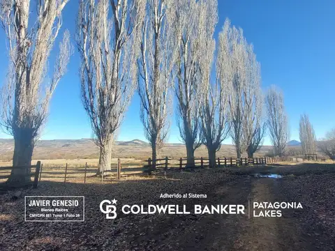 Campo Alumine ruta 23