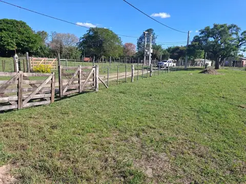 Cruz De Los Milagros