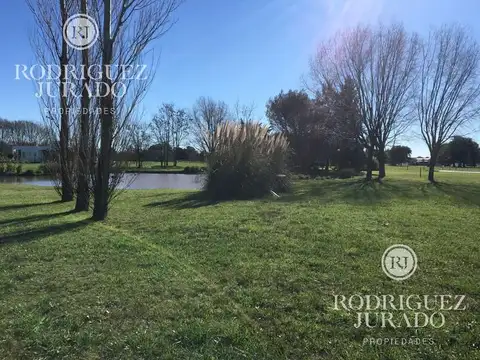 Terreno - Haras San Pablo