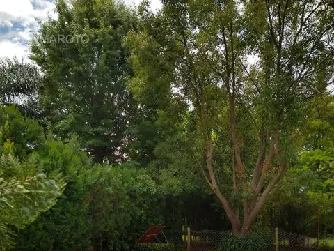 CASA EN VENTA Y ALQUILER EN BARRIO SEPTIEMBRE