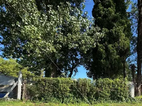 Lisandro De La Torre 110