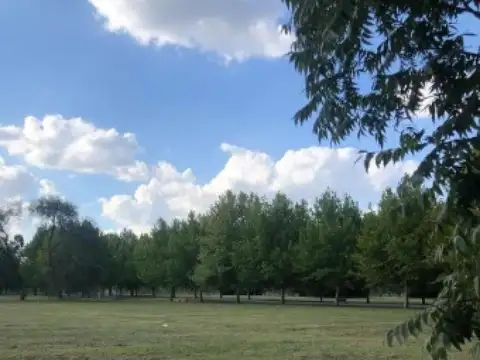 Terreno en Venta de 3289,0 m2