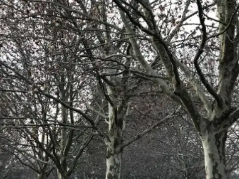 Estancia Villa Maria