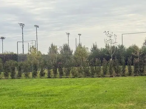 Oportunidad Lote Interno Castaños Nordelta venta