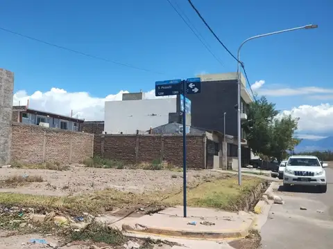 Rua Alvarado y Pezzuti 100