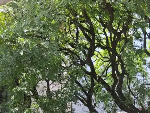 Monoambiente en venta apto profesional en  Belgrano