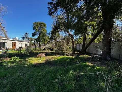 Calle C González Segura