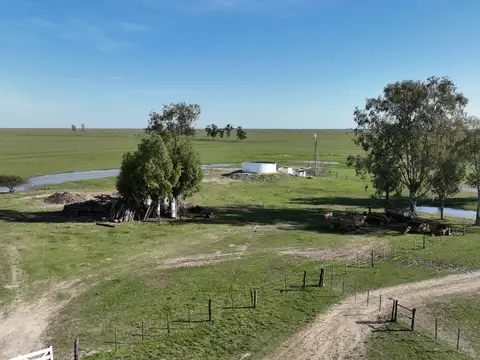 Campo en Venta Ganadero