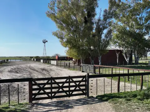 2707 Has Campo en Gualeguaychú