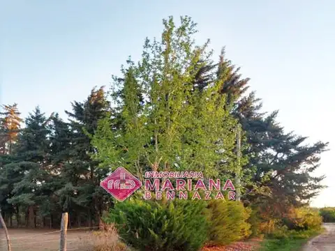 Terreno en Venta en Vuelta De Obligado, USD 0