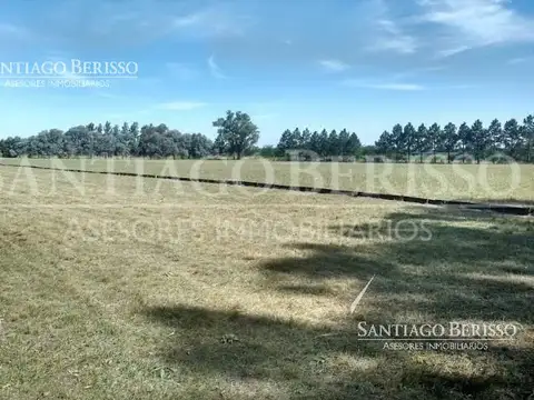 Exaltación de la Cruz