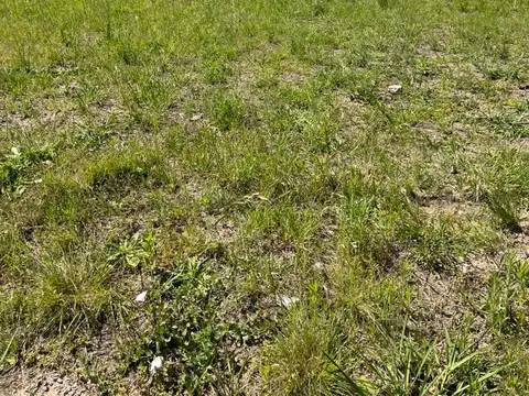 Terreno en Venta en Piñero, USD 31.000