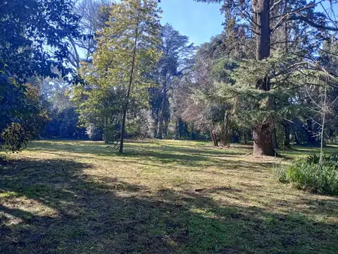 Miguel De Unamuno 6199