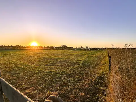 Laguna de las pampas