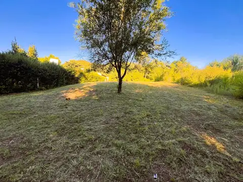 Terreno en Venta 50  mts Fondo