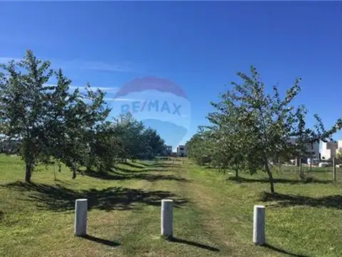 Terreno en Venta de 361,0 m2