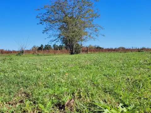 Terreno en Venta en Oliveros, USD 10.696