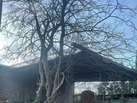 Galpon en Venta en Los Talas, USD 260.000