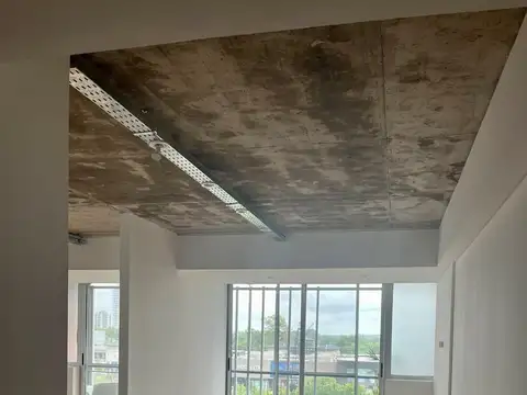 Vientos del Delta 100