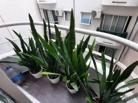 Departamento en Alquiler Temporal de 1 dormitorio