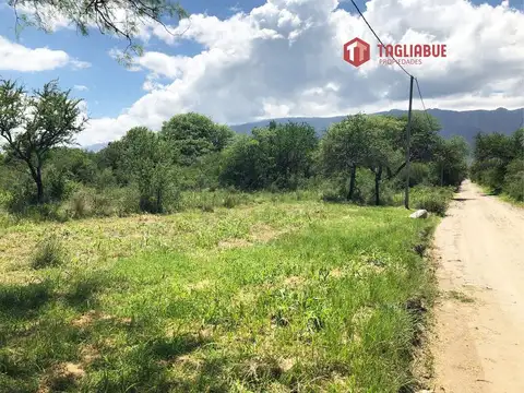 Terreno en Venta 25  mts Frente