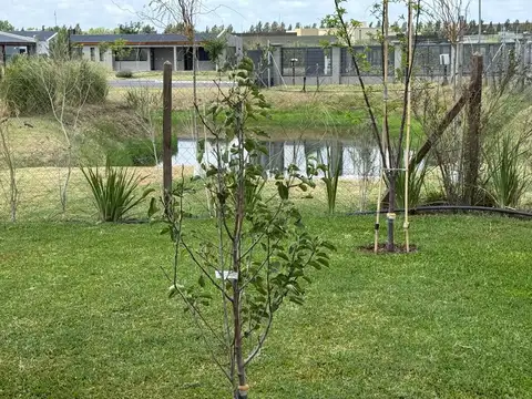 Venta Casa 4 amb. C/parque Barrio San Felipe Canning Ezeiza.