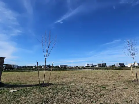 Barrio el Naudir al 1000