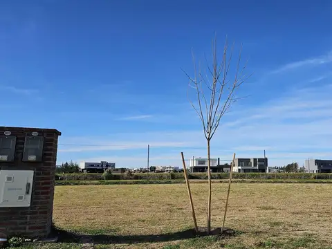 Barrio el Naudir al 1000