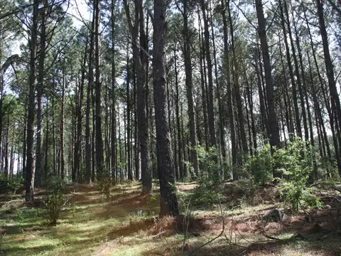Casa de campo con con salida al río.