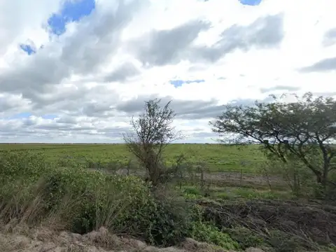 Campo en venta - 2.490 Hectáreas - Santa Fe