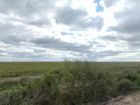 Campo en venta - 2.490 Hectáreas - Santa Fe