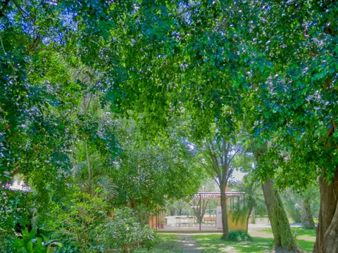 Villa Monte Alto s/N