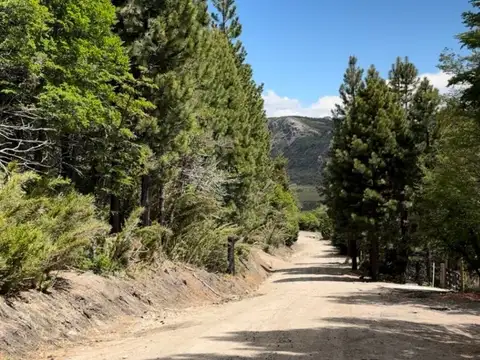 Piedra San Francisco 100