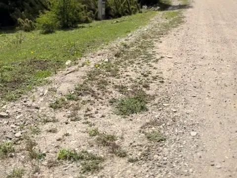 FINA PATAGONIA. Lote en venta de 1129m2 ubicado en San Martin de los Andes