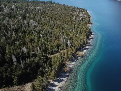 Oportunidad Campo 580has sobre brazo Huemul, 1.5km costa del lago entre Bariloche y V. La Angostura
