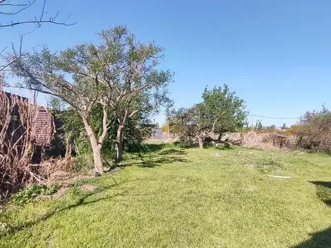 Quinta en Venta con 1 cochera