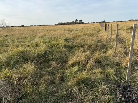 VENTA DE CAMPO EN ATALAYA MAGDALENA.