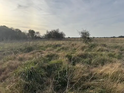 VENTA DE CAMPO EN ATALAYA MAGDALENA.