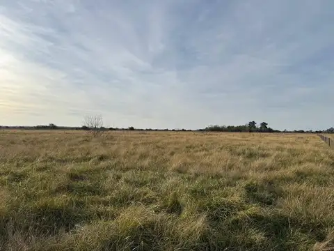 VENTA DE CAMPO EN ATALAYA MAGDALENA.