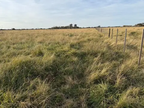 VENTA DE CAMPO EN ATALAYA MAGDALENA.