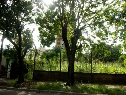 Aristobulo del Valle 1000