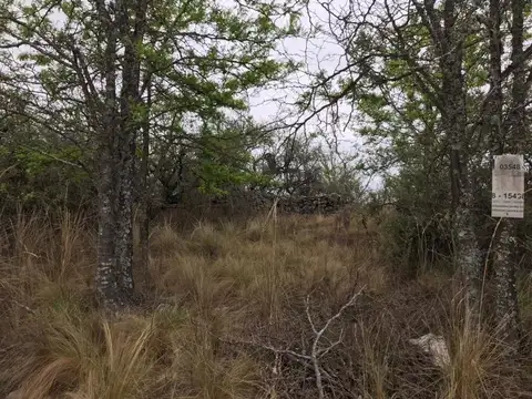 Terreno en Venta de 358,0 m2