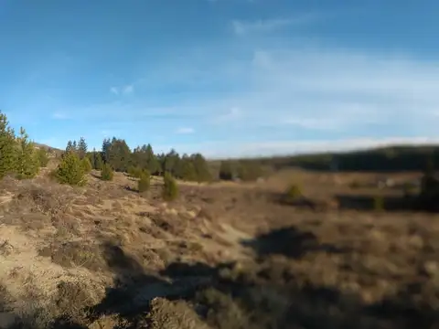 Fracción Arroyo del Medio