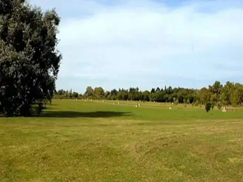 CASUARINAS DEL PILAR 1.614 M2