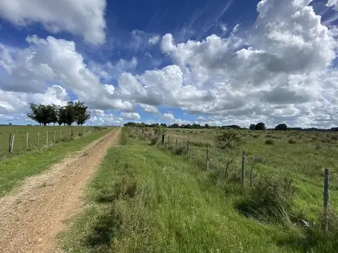 Venta Chacra  10 hectáreas Ruta 104 Manantiales