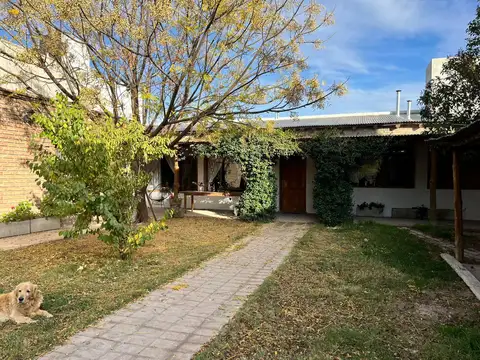 Leopoldo Lugones  al 800