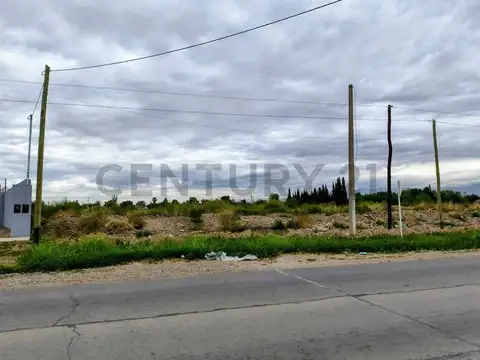 Terreno en Venta 75  mts Fondo